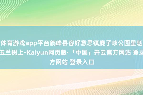 体育游戏app平台鹤峰县容好意思镇麂子峡公园里魁岸的玉兰树上-Kaiyun网页版·「中国」开云官方网站 登录入口