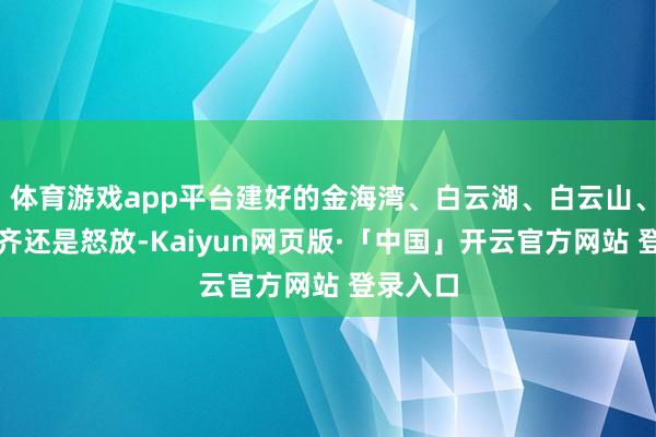 体育游戏app平台建好的金海湾、白云湖、白云山、白云寨齐还是怒放-Kaiyun网页版·「中国」开云官方网站 登录入口